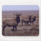 E19 Bull Elk Double Drop Tines Muismat (Voorkant)