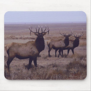 E19 Bull Elk Double Drop Tines Muismat