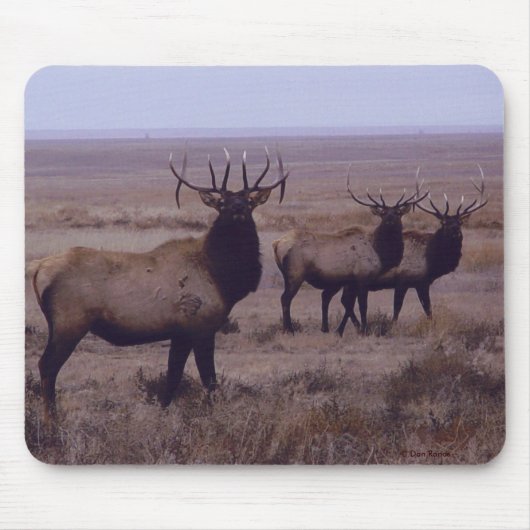 E19 Bull Elk Double Drop Tines Muismat (Voorkant)