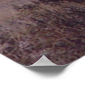 E19 Bull Elk Double Drop Tines Poster (Hoek)