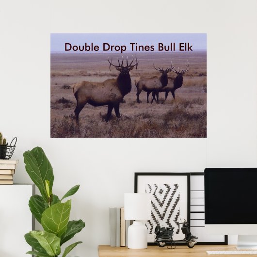 E19 Bull Elk Double Drop Tines Poster (Thuiskantoor)