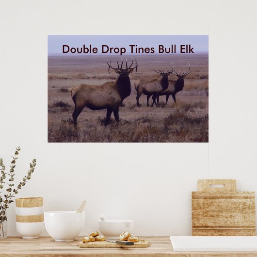 E19 Bull Elk Double Drop Tines Poster (Keuken)