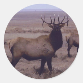 E19 Bull Elk Double Drop Tines Ronde Sticker