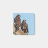 E19 & E20 in oude dennen SWFL Eagle Cam Post haar Post-it® Notes (Voorkant)