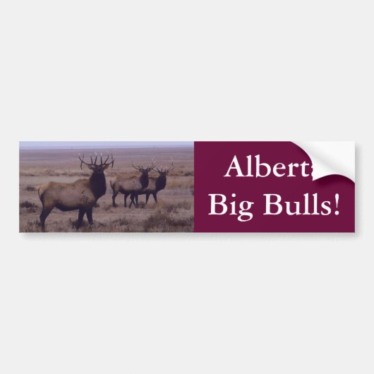 E19 Wapiti Dubbele Afhangende Takken Bumpersticker (Voorkant)