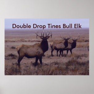 E19 Wapiti Dubbele Afslag Takken Poster