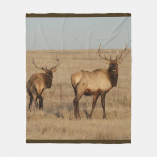 E1 Bull Elk Fleece Deken