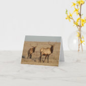 E1 Bull Elk Kaart (Gele Bloem)