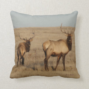 E1 Bull Elk Kussen
