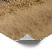 E1 Bull Elk Open Country Bulls Poster (Hoek)