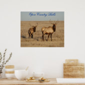 E1 Bull Elk Open Country Bulls Poster (Keuken)
