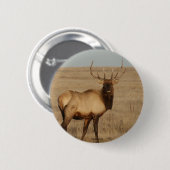 E1 Mannetjeswapiti Ronde Button 5,7 Cm (Voorkant /achterkant)