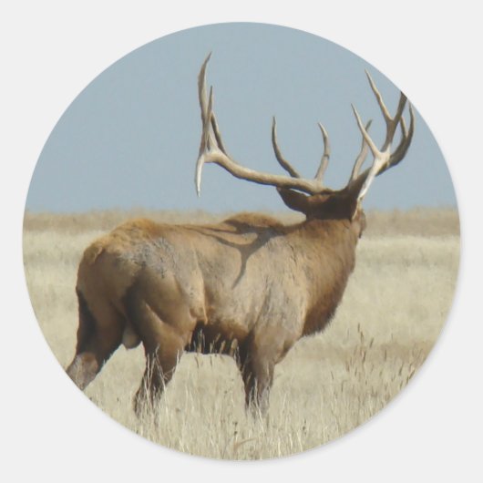 E20 Bull Elk Challenger Ronde Sticker (Voorkant)