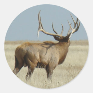 E20 Bull Elk Challenger Ronde Sticker