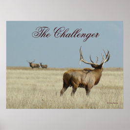 E20 Bull Elk Uitdager Poster