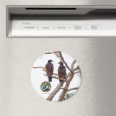 E21 & E22 Beste knoppen Seizoen 11 Magneet (Insitu (Vaatwasser))