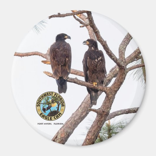 E21 & E22 Beste knoppen Seizoen 11 Magneet (Voorkant)