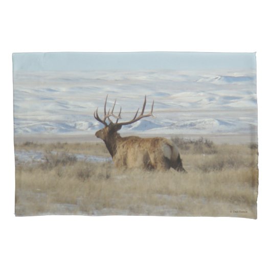 E22 Bull Elk en Besneeuwde Heuvels Kussensloop (Voorkant)