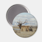 E22 Bull Elk en Besneeuwde Heuvels Magneet (Voorkant / Achterkant)