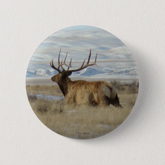 E22 Bull Elk en Snowy Hills Ronde Button 5,7 Cm (Voorkant)