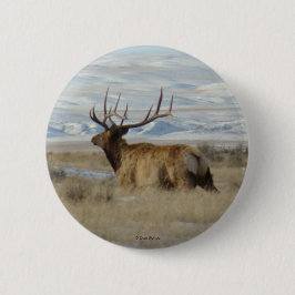 E22 Bull Elk en Snowy Hills Ronde Button 5,7 Cm