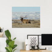 E22 Bull Elk Snowy Hills Poster (Thuiskantoor)
