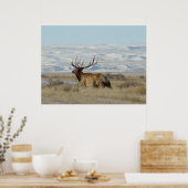 E22 Bull Elk Snowy Hills Poster (Keuken)