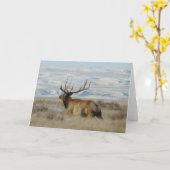 E22 Wapiti en Besneeuwde Heuvels Kaart (Gele Bloem)