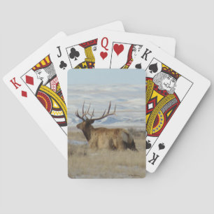 E22 Wapiti en Besneeuwde Heuvels Pokerkaarten
