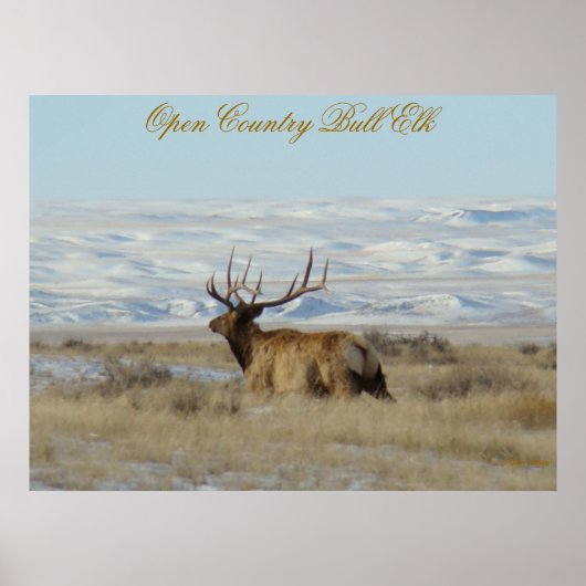 E22 Wapiti Sneeuwheuvels Poster (Voorkant)