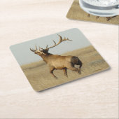 E23 Big Bull Elk Grass in Horn Kartonnen Onderzetters (Schuin)