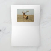 E23 Bull Elk Grass in Hoorns Kaart (Binnen)