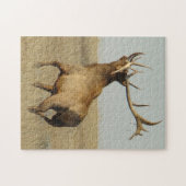 E23 Bull Elk Grass in Hoorns Legpuzzel (Horizontaal)
