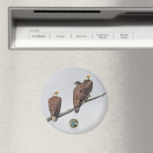 E23 & familie- M15, F23 & Eerste Eaglet Magneet (Insitu (Vaatwasser))