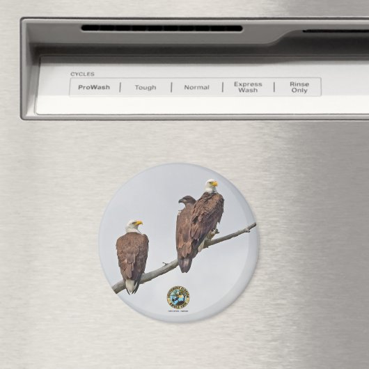 E23 & familie- M15, F23 & Eerste Eaglet Magneet (Insitu (Vaatwasser))