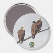 E23 & familie- M15, F23 & Eerste Eaglet Magneet (Voorkant / Achterkant)