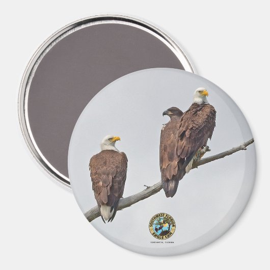 E23 & familie- M15, F23 & Eerste Eaglet Magneet (Voorkant / Achterkant)