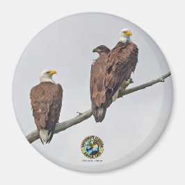 E23 & familie- M15, F23 & Eerste Eaglet Magneet