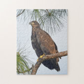 E23 SWFL Eagle Cam Puzzel (Verticaal)