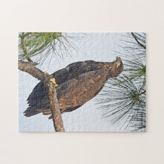 E23 SWFL Eagle Cam Puzzel Legpuzzel (Horizontaal)
