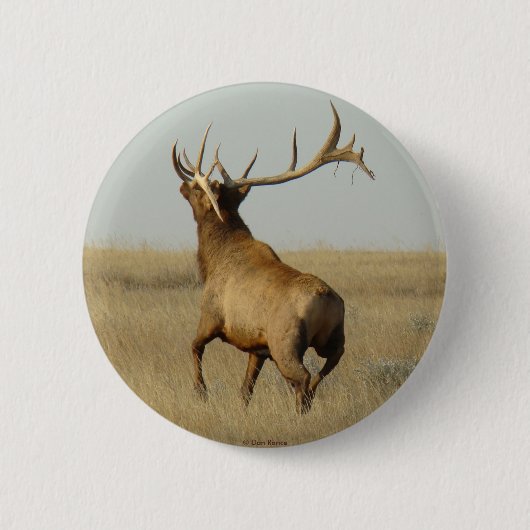 E23 Wapitihert in Gewei Ronde Button 5,7 Cm (Voorkant)