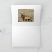 E24 Bull Elk Kaart (Binnen)