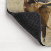 E24 Bull Elk Muismat (Hoek)