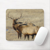 E24 Bull Elk Muismat (Met muis)