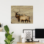 E24 Grote Eland Poster (Thuiskantoor)