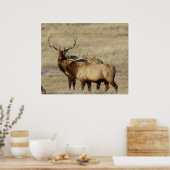 E24 Grote Eland Poster (Keuken)