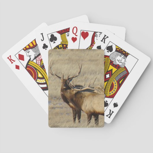 E24 Stiereland Pokerkaarten (Achterkant)