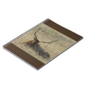 E25 Bull Elk Laying in Grass Notitieboek (Linkerzijde)