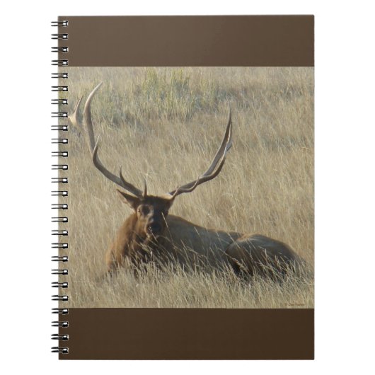 E25 Bull Elk Laying in Grass Notitieboek (Voorkant)