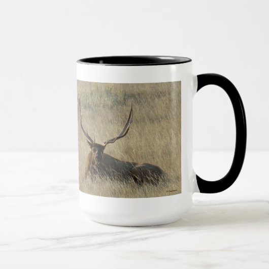 E25 Bull Elk Liggend in het Gras Mok (Rechts)